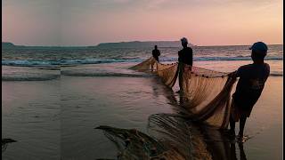 Fish Catch 🐟 Goan Fish Catch on BeachFish Catch at Caranzalem beach Goa Fresh from the Sea [upl. by Rossi61]