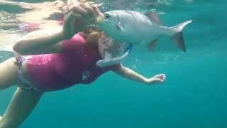 Key Largo Snorkeling 2014 [upl. by Tirb]