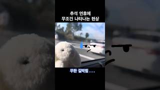 추석 연휴 특징 교통체증 심하다 😞 [upl. by Rehpotisrhc]