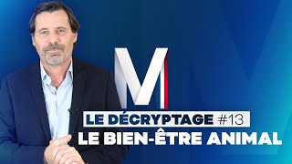 M LE DÉCRYPTAGE 13  M LA FRANCE [upl. by Irac]