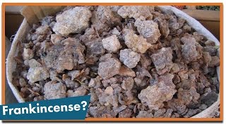 What Are Frankincense and Myrrh [upl. by Haisa]