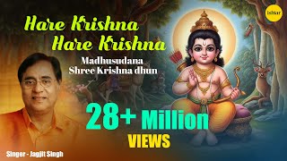 Ram Navmi Special  Hare Ram Hare Krishna  Jagjit Singh  Keshwa Madhwa  Shri Krishna  Ram Dhun [upl. by Nazus]