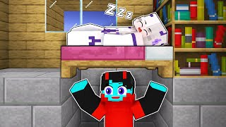 I Spent 24 Hours in Sheyyyns House  Minecraft [upl. by Yadroc]