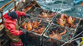 American Fishermen Catch Millions of Salmon And Cod This Way  Lobster Trap Fishing in Deep Sea [upl. by Sofia]