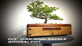 Making a Wooden Bonsai Pot [upl. by Yks]