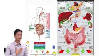 Gastrointestinal Drugs [upl. by Ariahaj28]