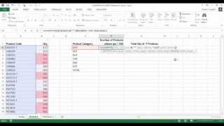 Excel COUNTIFS amp SUMIFS using Wildcards  and [upl. by Pickens]