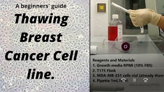 Thawing Breast Cancer cell line A beginners guide step by step [upl. by Saimon759]