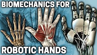 Biomechanics of the CMC Joint for Bionic Hands  Biomimetic Mechatronic Hand Part 4 [upl. by Cosme]