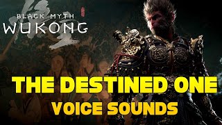 Black Myth Wukong  The Destined One Voice Lines  Efforts [upl. by Clite]