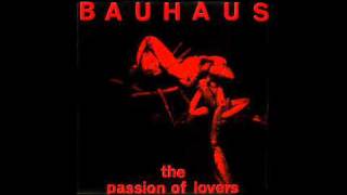 BAUHAUS  The Passion of Lovers [upl. by Reinold]