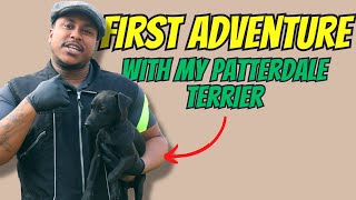 My Patterdale Terriers First Walk 🤯 [upl. by Swihart]