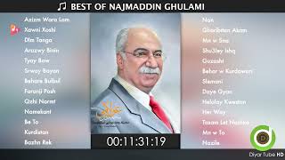 BEST OF NAJMADDIN GHULAMI  26 Original Tracks  HD  خۆشترین گۆرانییەکانی نەجمەددین غولامی [upl. by Aydin]