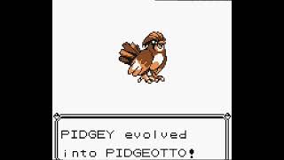 Pidgey evolui para um Pidgeotto Pokémon Yellow 1999 [upl. by Llerehs]