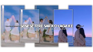 senese tere sar ko laga ke🥀aesthetic love status❤️ couple love status✨slowed and reverb status 💫 [upl. by Noraha]