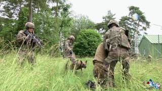 ChienMilitaire  le 14juillet dans les yeux du caporalchef Hélène 132e BCAT [upl. by Aliuqa40]