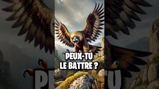 Top 10 des oiseaux les plus dangereux [upl. by Sanderson]