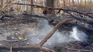 Inwood Park Closed After Brushfire reignites in NYC [upl. by Aluino]