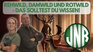 Rehwild Damwild Rotwild Diese Unterschiede solltest du bei der Jagd wissen [upl. by Pendleton]