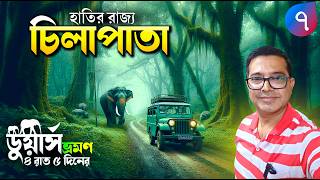 Dooars Tour  EP 7  চিলাপাতা জঙ্গলে জীপ সাফারি  Chilapata Jungle Safari  Dooars Tour Cost [upl. by France]