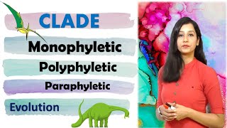 Phylogenetic tree I Clade I Monophyletic I Paraphyletic I Polyphyletic II Evolution [upl. by Dorraj]