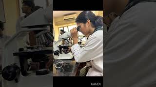 Afb staining in micro ucmsmedical neet2024 neet2022mamcucms practical microbiology mbbs [upl. by Roseanna650]