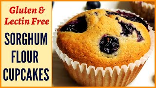 The best Soft amp Delicious Sorghum Flour جوار آٹا Blueberry Cupcake Muffins Gluten amp LectinFree [upl. by Monroy575]