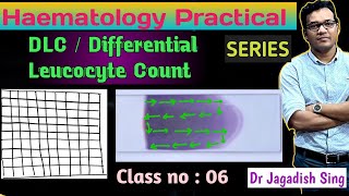 DLC  Differential Leucocyte Count Haematology Practical Series [upl. by Male276]