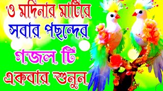 ও মদিনার মাটিরে নতুন গজল o modinar Mati re Shera gojol [upl. by Minnaminnie]