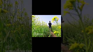 A Holiday Abroad in khiraiflowervalley khirai khiraiflowergarden travelblog travelvideo [upl. by Gnap]