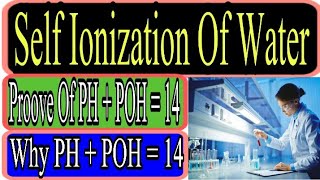 Self Ionization Of Water  PH  POH  14 [upl. by Llertram]