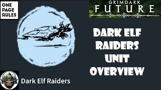 Dark Elf Raiders unit overview [upl. by Einiar]