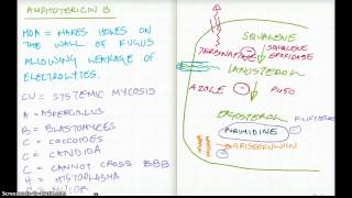 Easy Ways to Remember Amphotericin B [upl. by Nnylirehs]