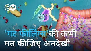 पाचन तंत्र को क्यों कहते हैं दूसरा मस्तिष्क Is the gut our second brain [upl. by Naut]