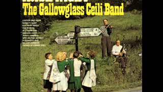 The Gallowglass Ceili Band  Irish Night [upl. by Jezebel]