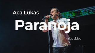 ACA LUKAS  PARANOJA OFFICIAL LYRICS VIDEO [upl. by Assel]