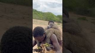 Hunting and Cooking Huge Baboon with Hadzabe tribe hadzabetribe africantribe [upl. by Athalie]