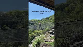 Oribi gorge suspension bridge southafrica [upl. by Sloatman]