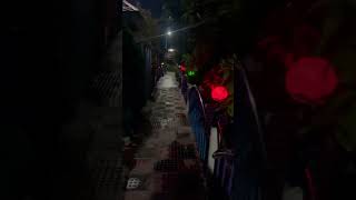 Sugondha night view shortvideo shorts [upl. by Osrit]