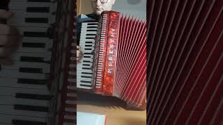 Giuseppe Verdi Rigoletto La donna è mobile – Fisarmonica Accordion [upl. by Mori]