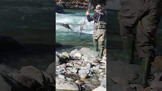 I caught a salmon in a huge currentI ❤️ salmon fishing Vedder river Canada 🇨🇦 12 [upl. by Cid851]