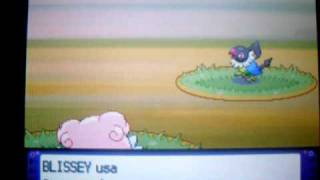 My Blissey grew up to level 100 while i was chaining Chatot [upl. by Benco]