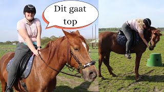 eerste keer met HACKAMORE rijden  vlog 235 vrije galop [upl. by Tsyhtema563]