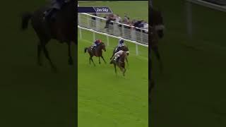 Vauban impressively lands the Lonsdale Cup horse horseracing racingtv sport britishhorseracing [upl. by Annayar]