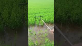 Agriculture Technology agriculturetechnology agriculture farm agriculturemachine shorts [upl. by Rehprotsirhc]