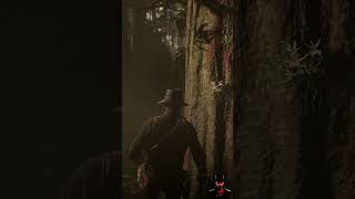 Unveiling the Secret Location of the Ghost Orchid RDR2  reddeadredmption2 CowBoy [upl. by Raffaello820]