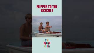 Flipper saves Ranger Rick after an explosion 😱 Flipper shorts [upl. by Limhaj560]