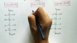 Carbohydrates  Monosaccharides  Glucose  Fructose  Galactose [upl. by Sale]