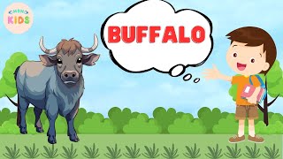 Buffalo Facts For Kids 🐃 Learn All About Buffaloes  MON Kids [upl. by Lauro]