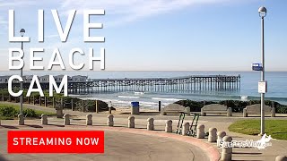 Live Surf Cam Pacific Beach California [upl. by Elram]